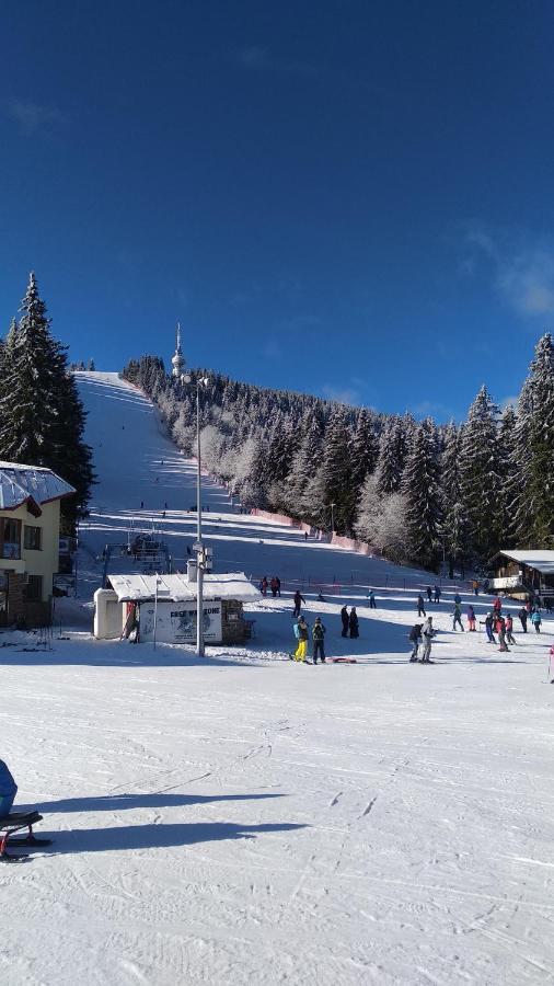 Snow Dreams 1 Grand Monastery Apartman Pamporovo Kültér fotó